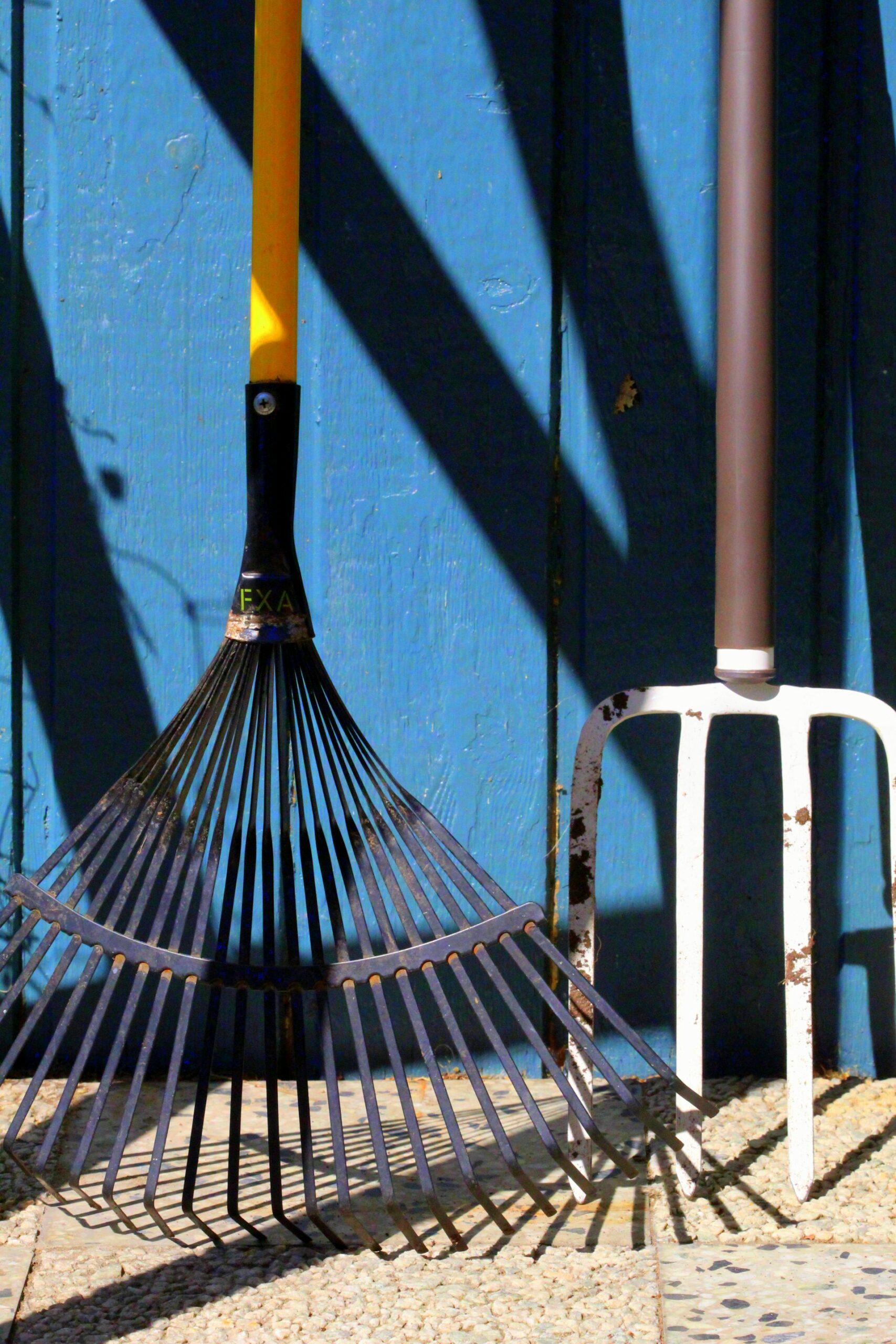 Garden rake and fork leaning against a blue wall A garden rake and fork leaning against a weathered blue wall