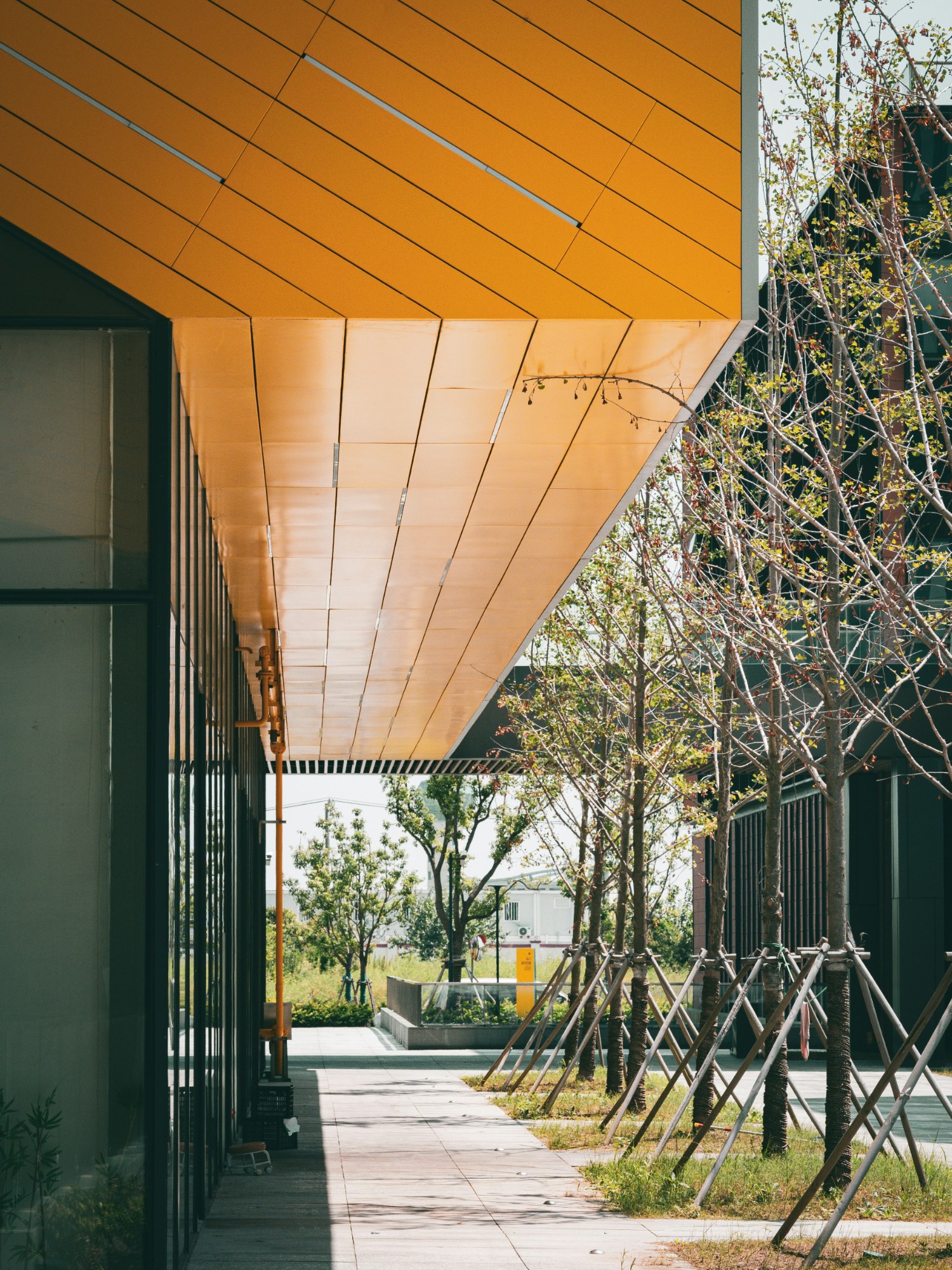 Covered walkway beneath a gold-orange canopy, beside a row of young staked trees